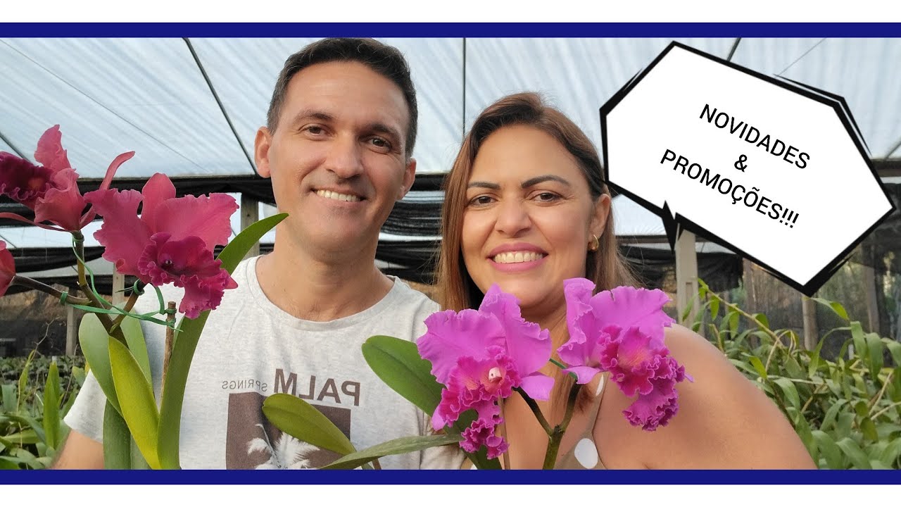 Orquidário Monte Negro - Promoções e novidades à venda de orquídeas