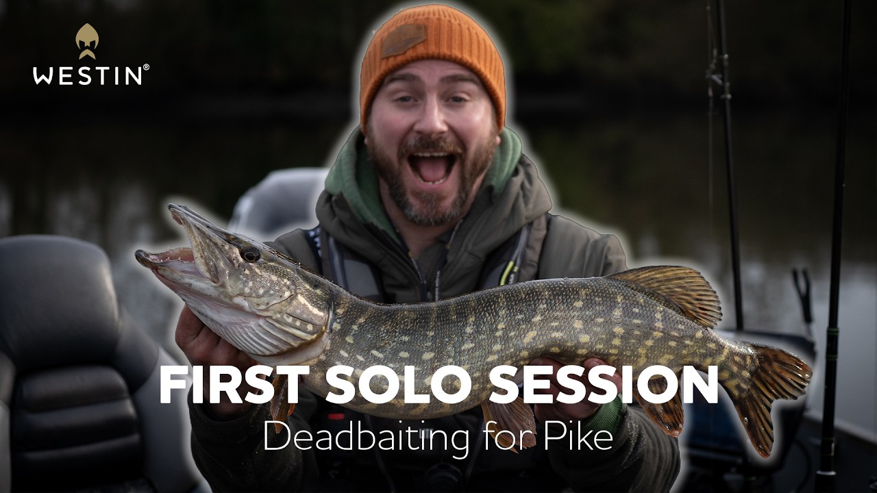 When a lure angler goes deadbaiting... | Westin Deadbait