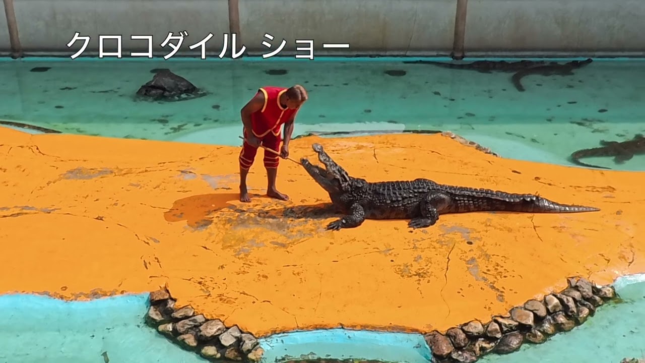 バンコク　20泊21日のタイ旅行　6日目