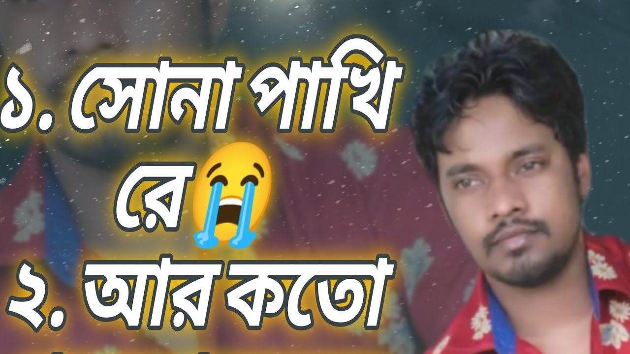 ইমন খানের , সোনা পাখি, আর কতো পড়বো অন্তর। 2024 নতুন গান।