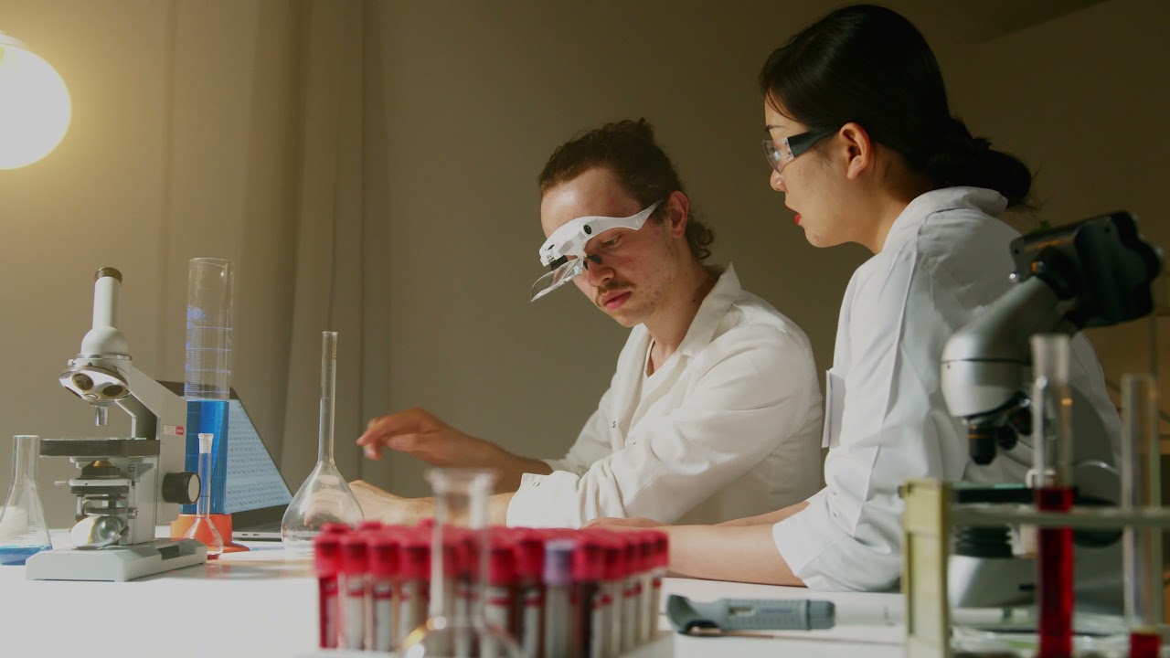 Scientists Stock Footage | Scientist Discussing Report | 4K Free Stock Videos | Copyright Free Video