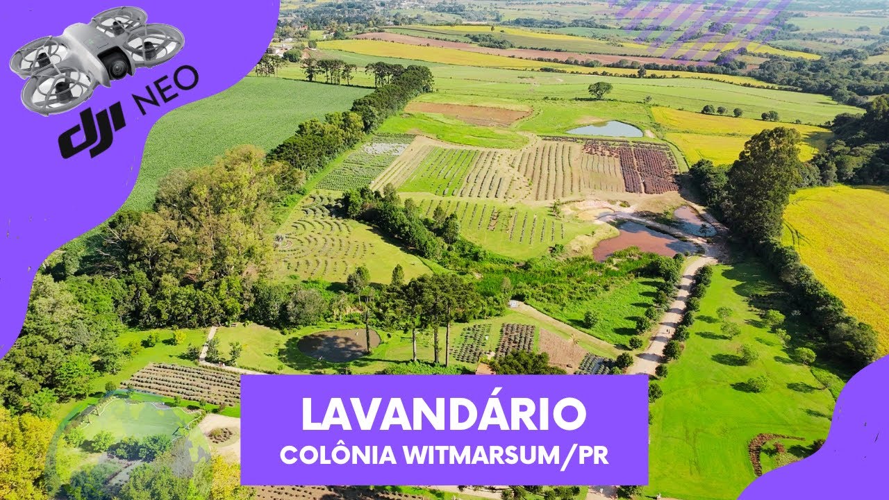 DJI Neo - Colônia Witmarsum + Lavandário Vale dos Sonhos
