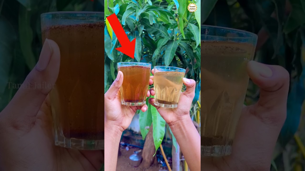 Original Tea or Duplicate Tea😶 #awareness #tips #tea