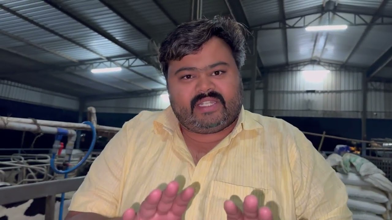 ABS SPIKE FIRST TIMER LIVE MORNING MILKING #absindia