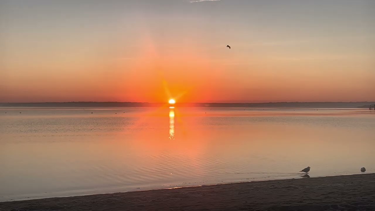 March 1, 2026 Sunrise 