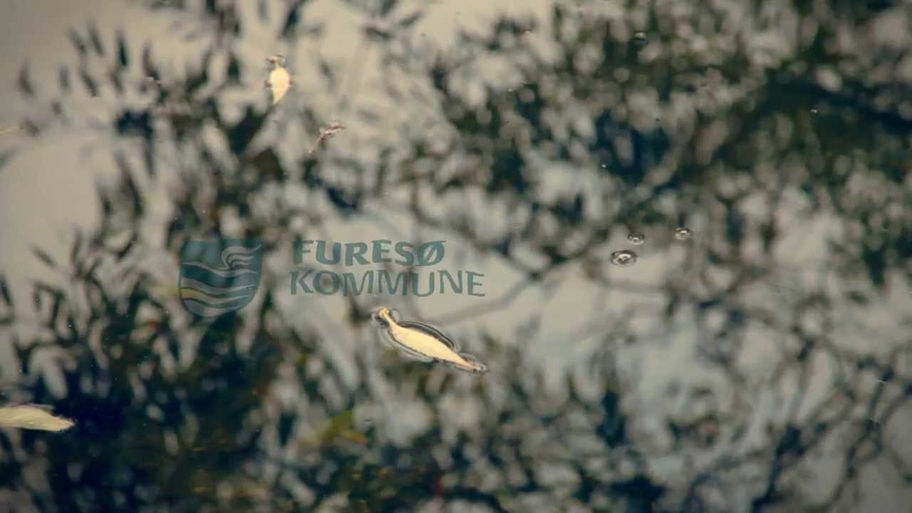 Furesø Kommune: Skov og Sø