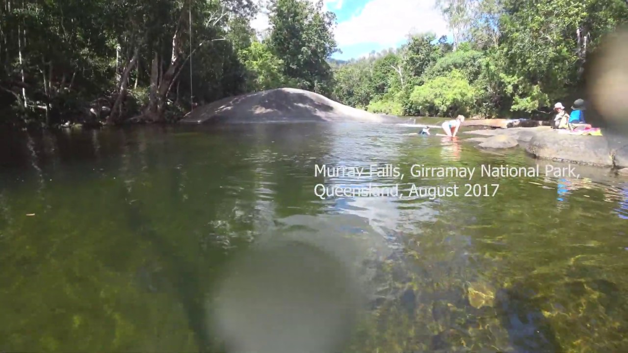 Fish of Murray Falls, Girramay National Park, North Queensland, August 2017