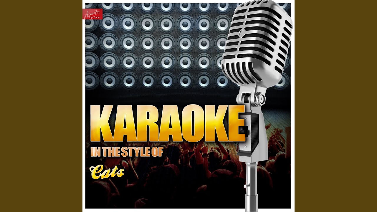 Save the Last Dance (In the Style of Cats) (Karaoke Version)