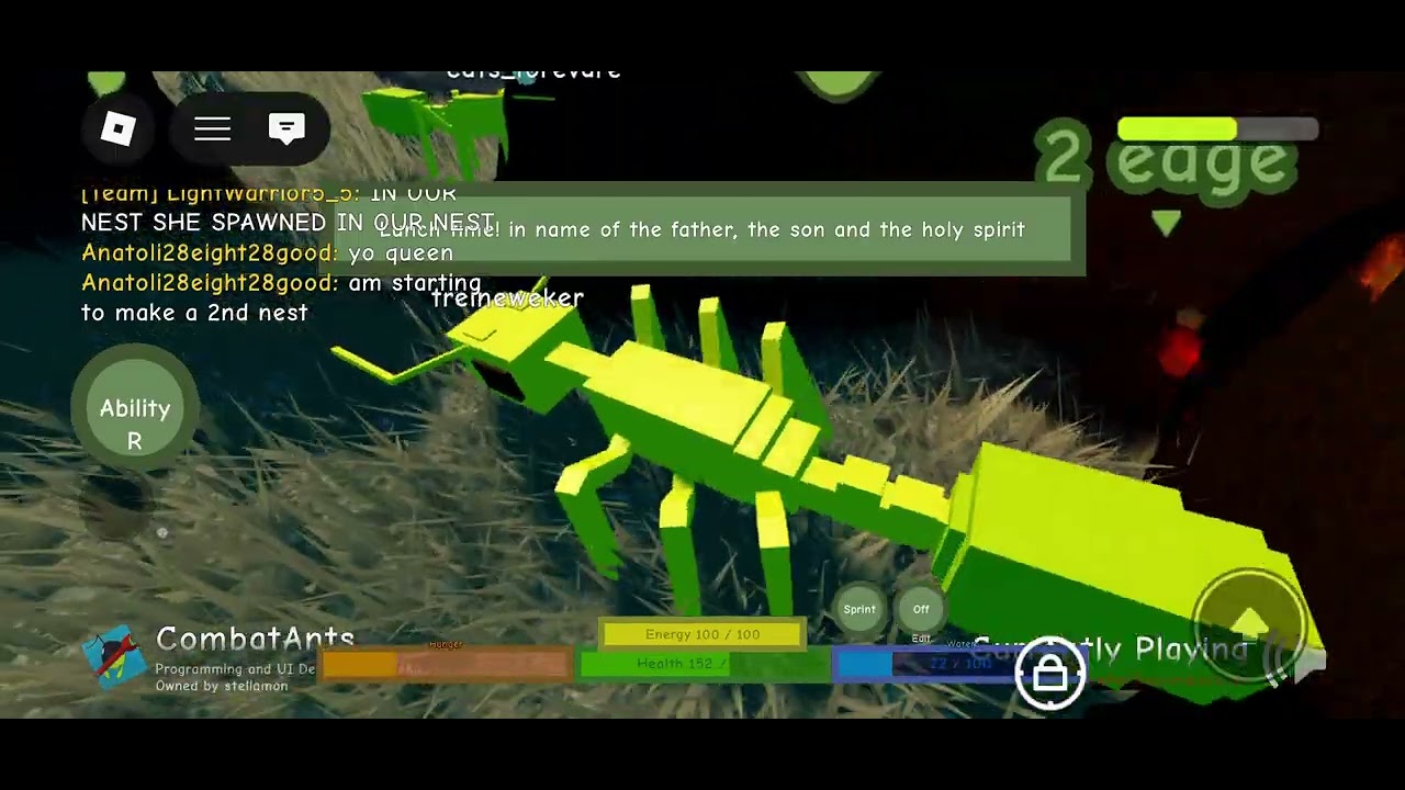 Combat ants castle building unedited dootage #combatants #ants #anteligence