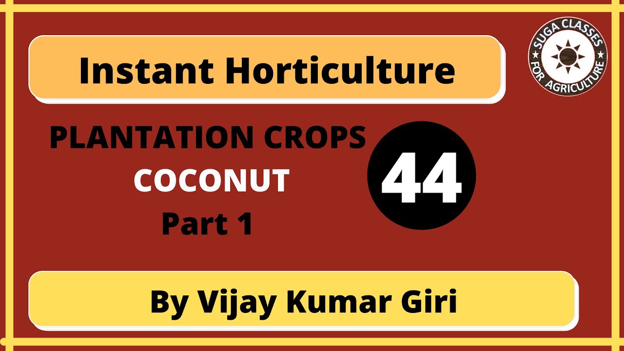 COCONUT Part 1 PLANTATION CROPS Instant Horticulture by Vijay Kumar Giri