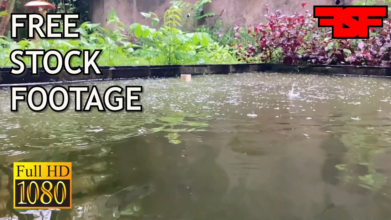 Free Stock Footage Rain Drops Slow motion - No Copyright Video