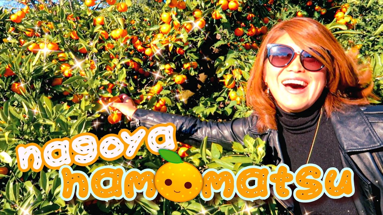 Dans une ferme de MIKAN au JAPON 🍊