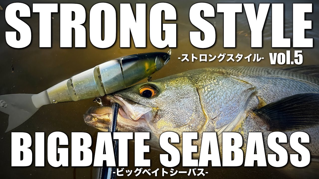 【ベイトシーバス】遂にビッグベイトシーバスが実現…こんな釣れ方もビッグベイトなら出せる…【ストロングスタイルvol.5】