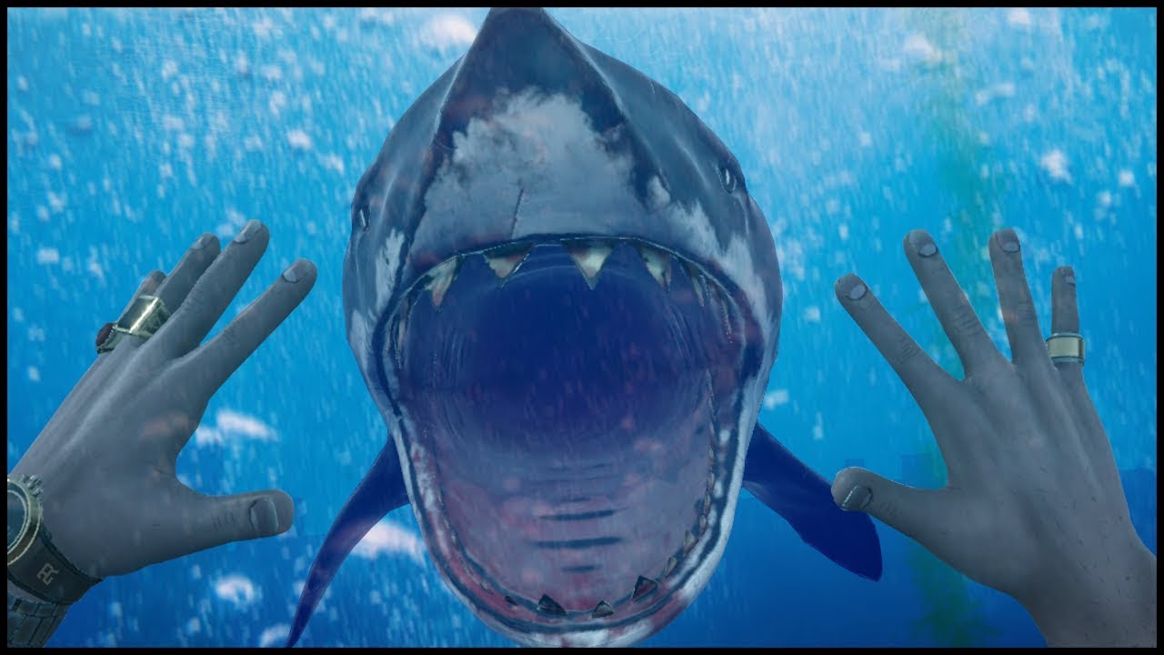 ATTACKED BY SHARK IN VIRTUAL REALITY