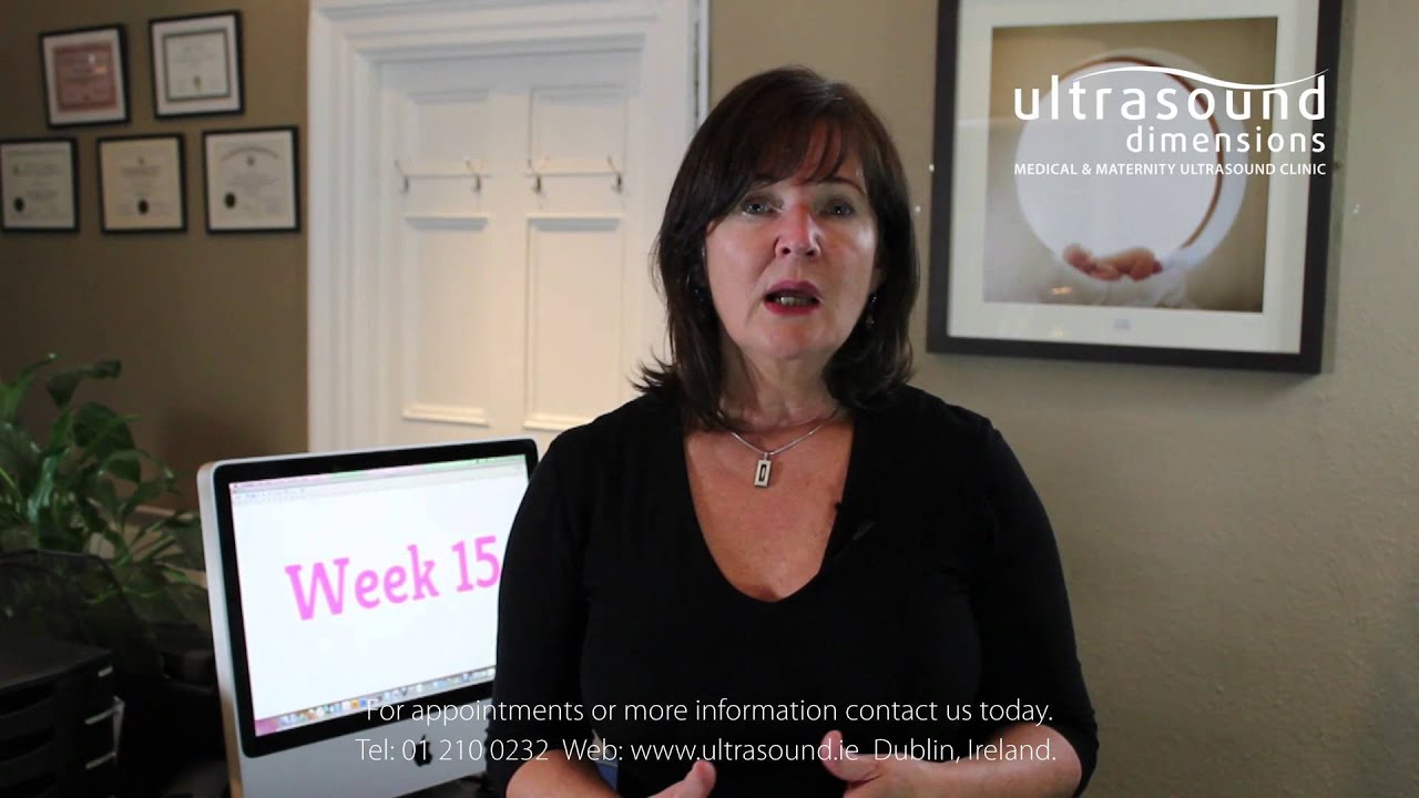 15 Weeks Pregnant - Your 15th Week Of Pregnancy