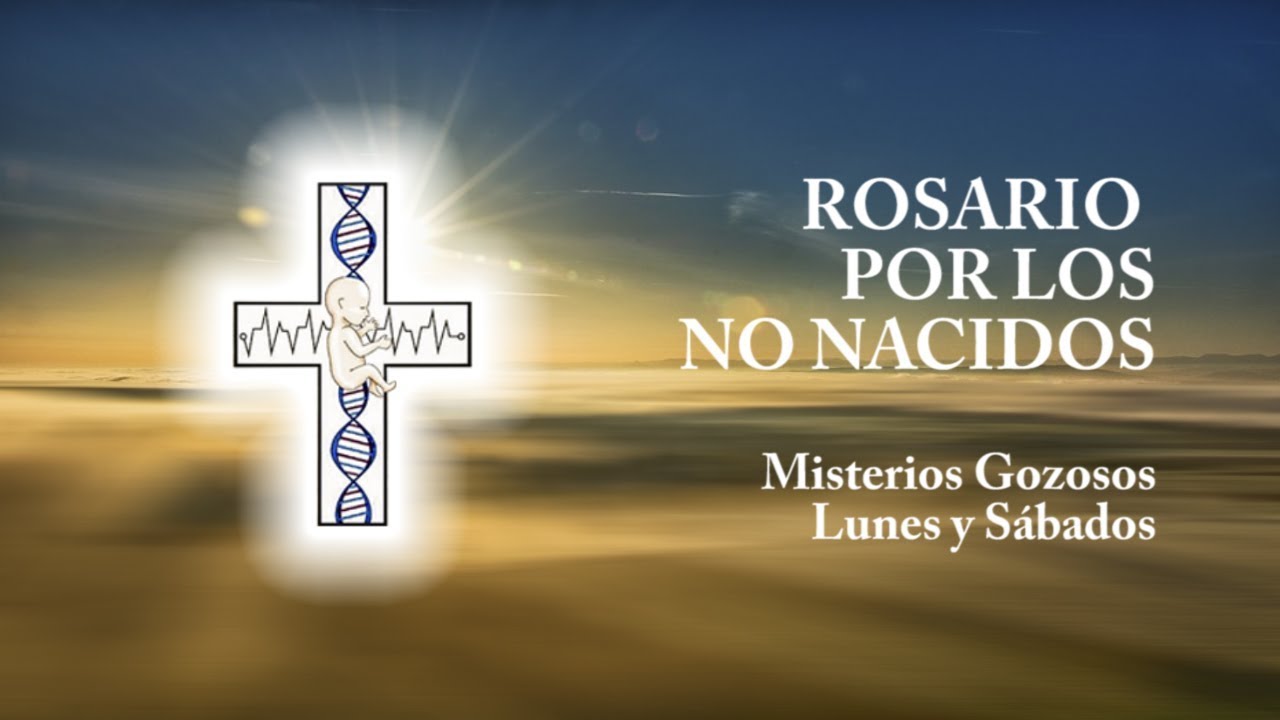 Rosario por los No Nacidos, Misterios Gozosos, Lunes y Sábados