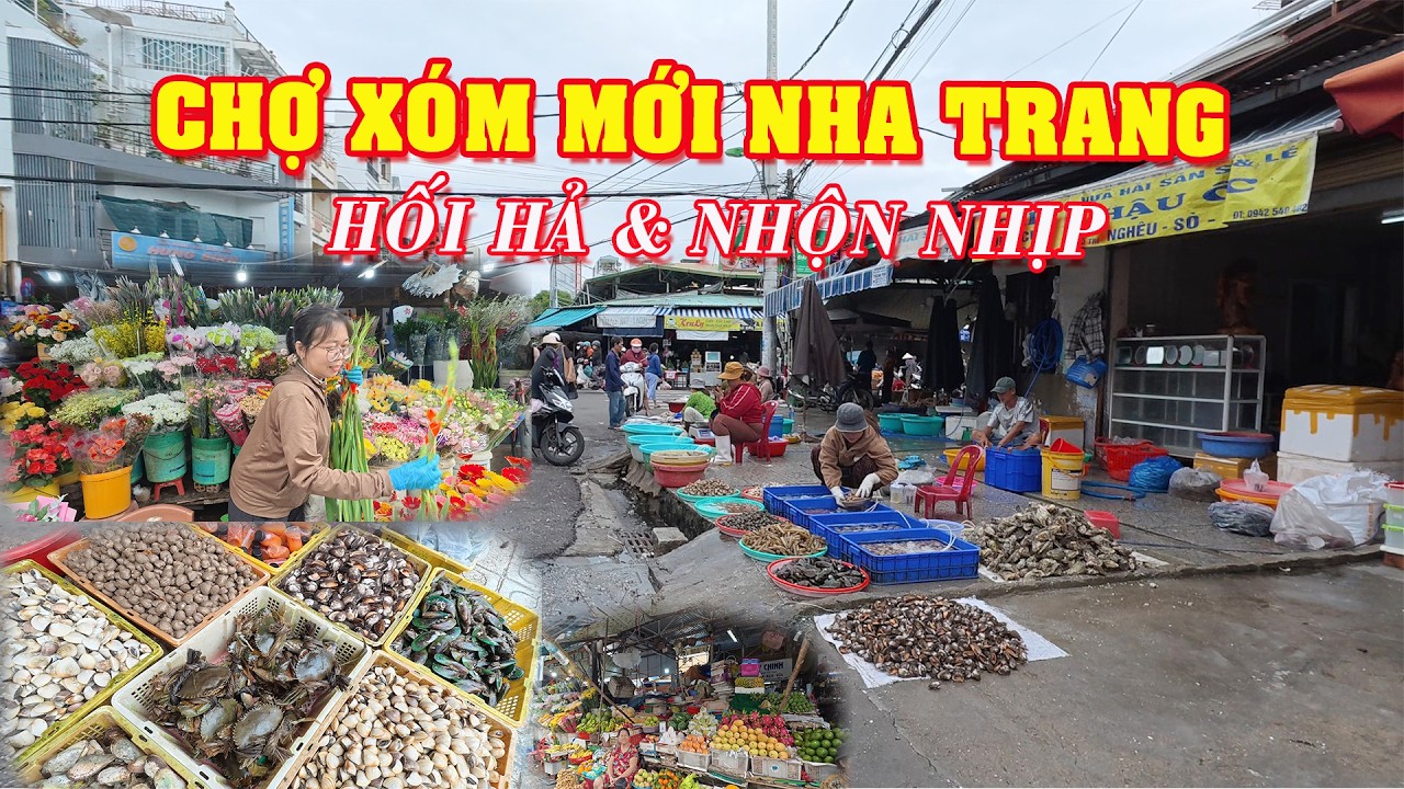 Dạo Chợ Xóm Mới Nha Trang: Nhịp Sống Hối Hả Vui Nhộn Không Ngờ
