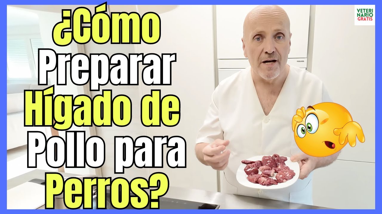 🔴¿COMO PREPARAR HÍGADO DE POLLO PARA PERROS? (más Recetas en la DESCRIPCIÓN)🔴
