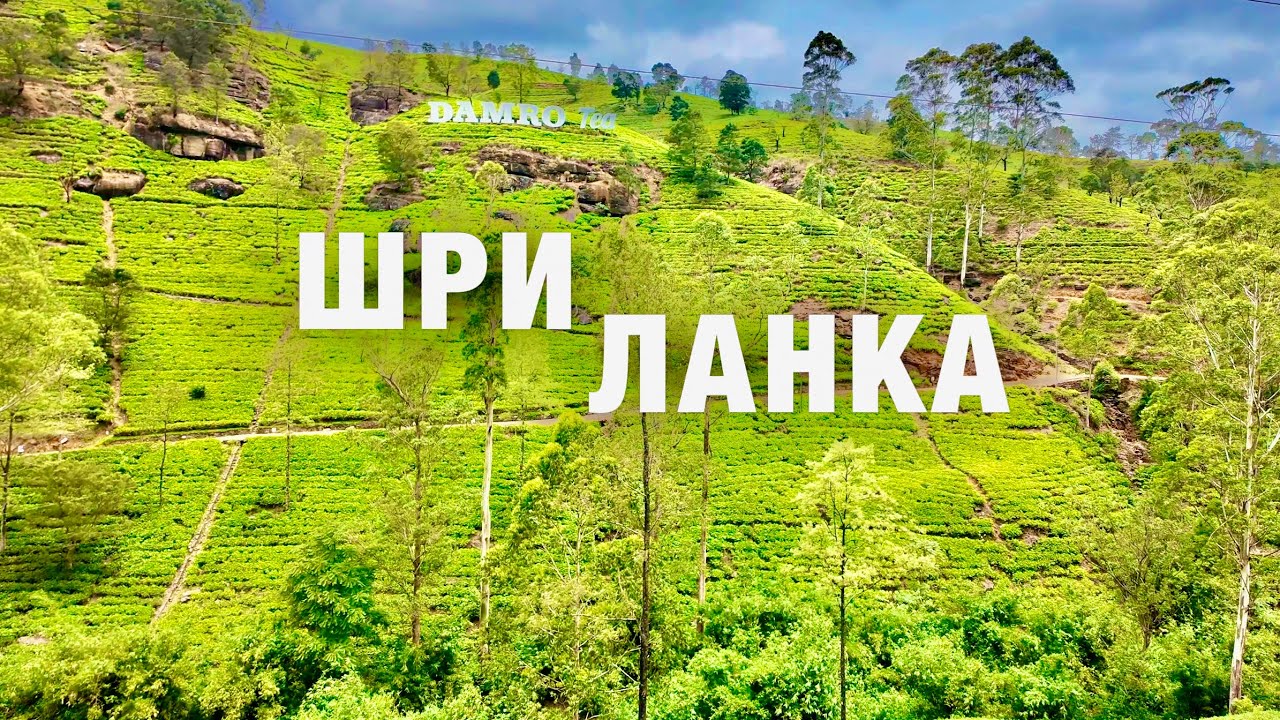 ШРИ-ЛАНКА🇱🇰ЧТО ПОСМОТРЕТЬ ? НУВАРА-ЭЛИЯ, ЧАЙНЫЕ ПЛАНТАЦИИ! ТОПовые места и АКТУАЛЬНЫЕ ЦЕНЫ на ВСЁ.