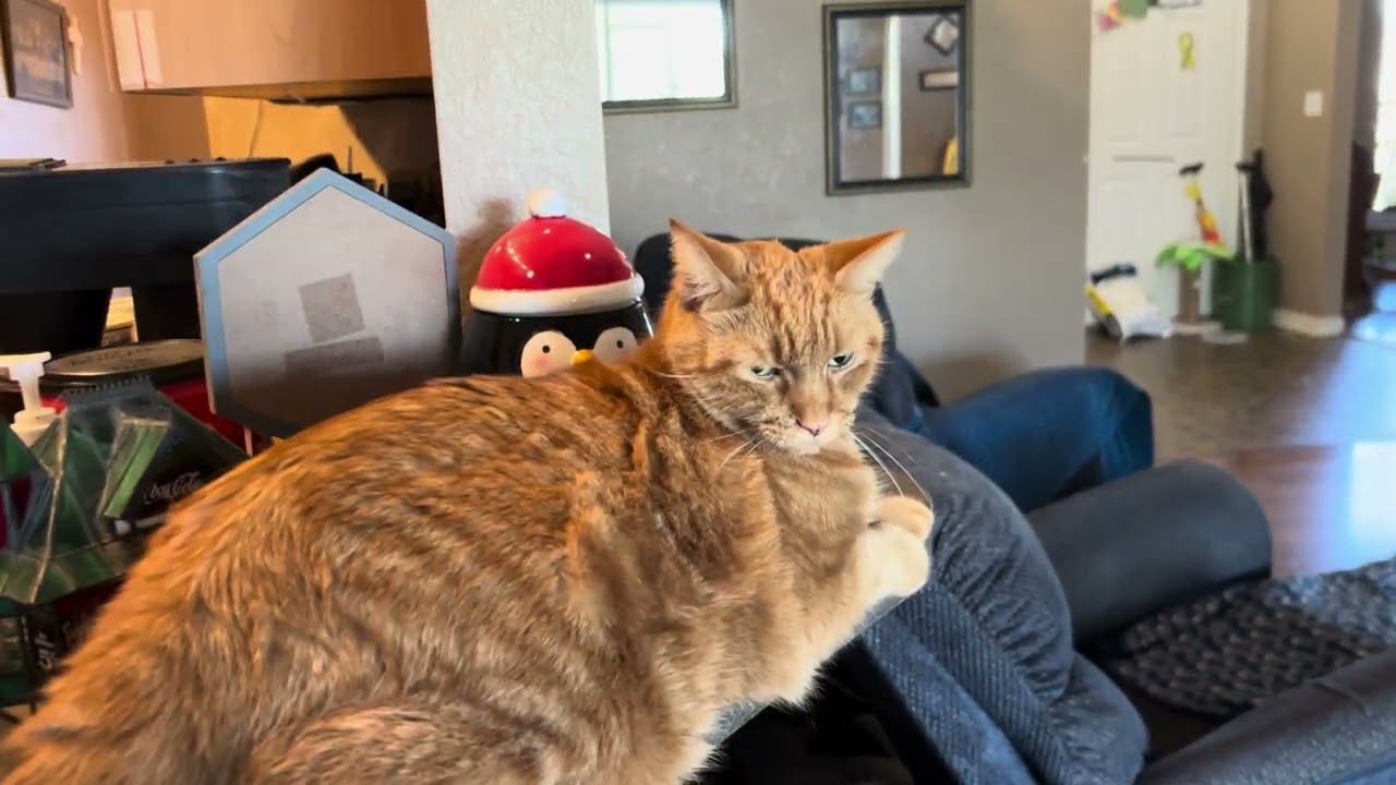 SPOILED SPOILED SPOILED