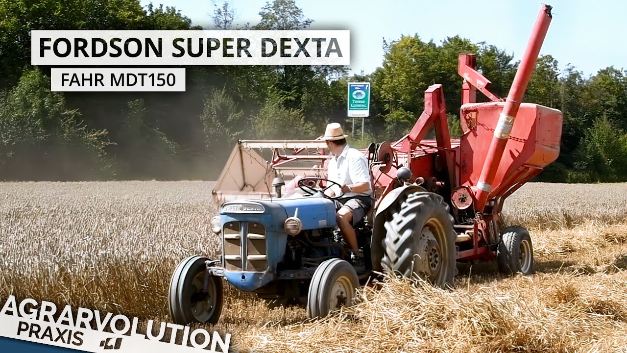 Fordson Super Dexta + Fahr MDT150 &bull; Harvesting wheat | Agrarvolution Praxis