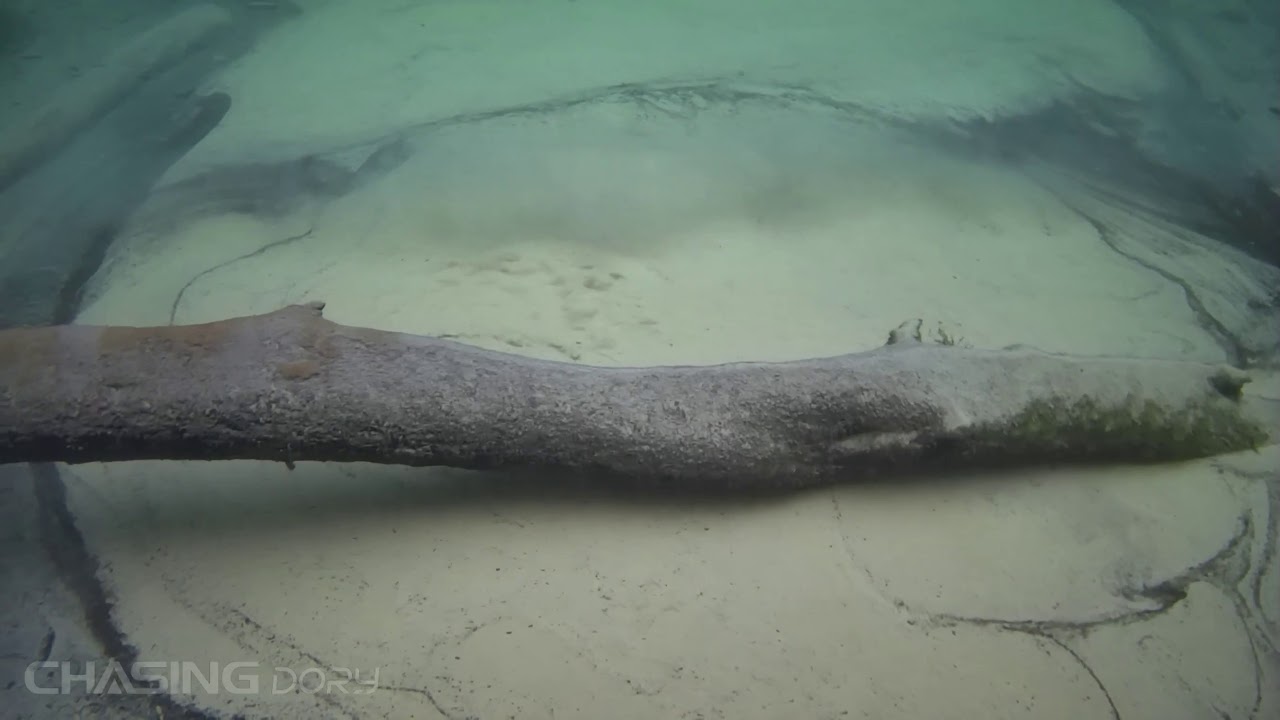 Saula Siniallikad, land, underwater & air