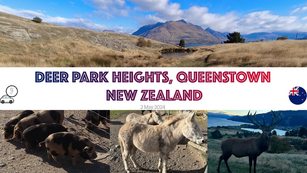 Must visit Deer Park Heights in Queenstown | New Zealand Road Trip 2024 #6