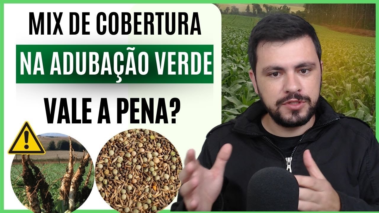 Usar MIX DE COBERTURA para Adubação verde é uma furada ou vale a pena? Falei o que penso