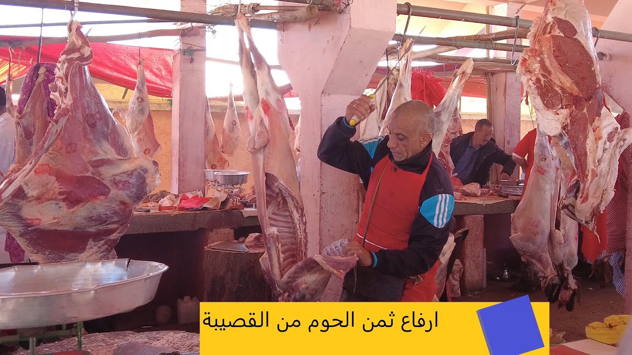 ارتفاع ثمن ماعز من سوق القصيبة بني ملال 05/11/2023