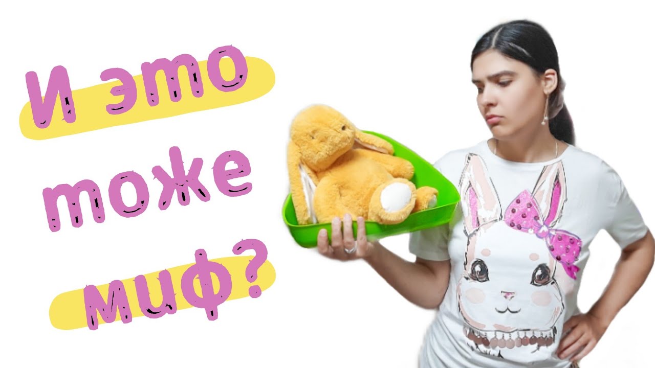 Как выбрать лоток для декоративного кролика? Как выбрать наполнитель в лоток декоративного кролика?