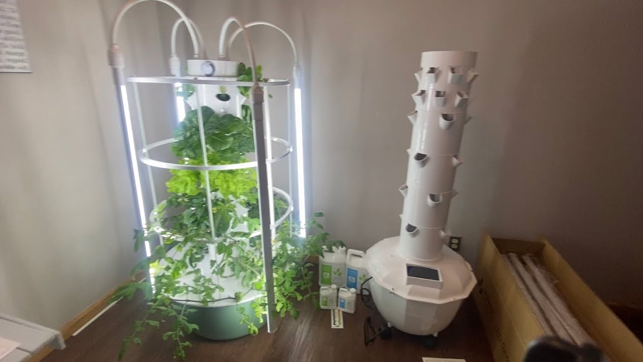 Differences between the 2 tower gardens