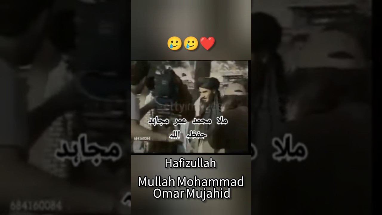 First Time On Camera: Taliban founder Mullah Omar's last resting place | Watch