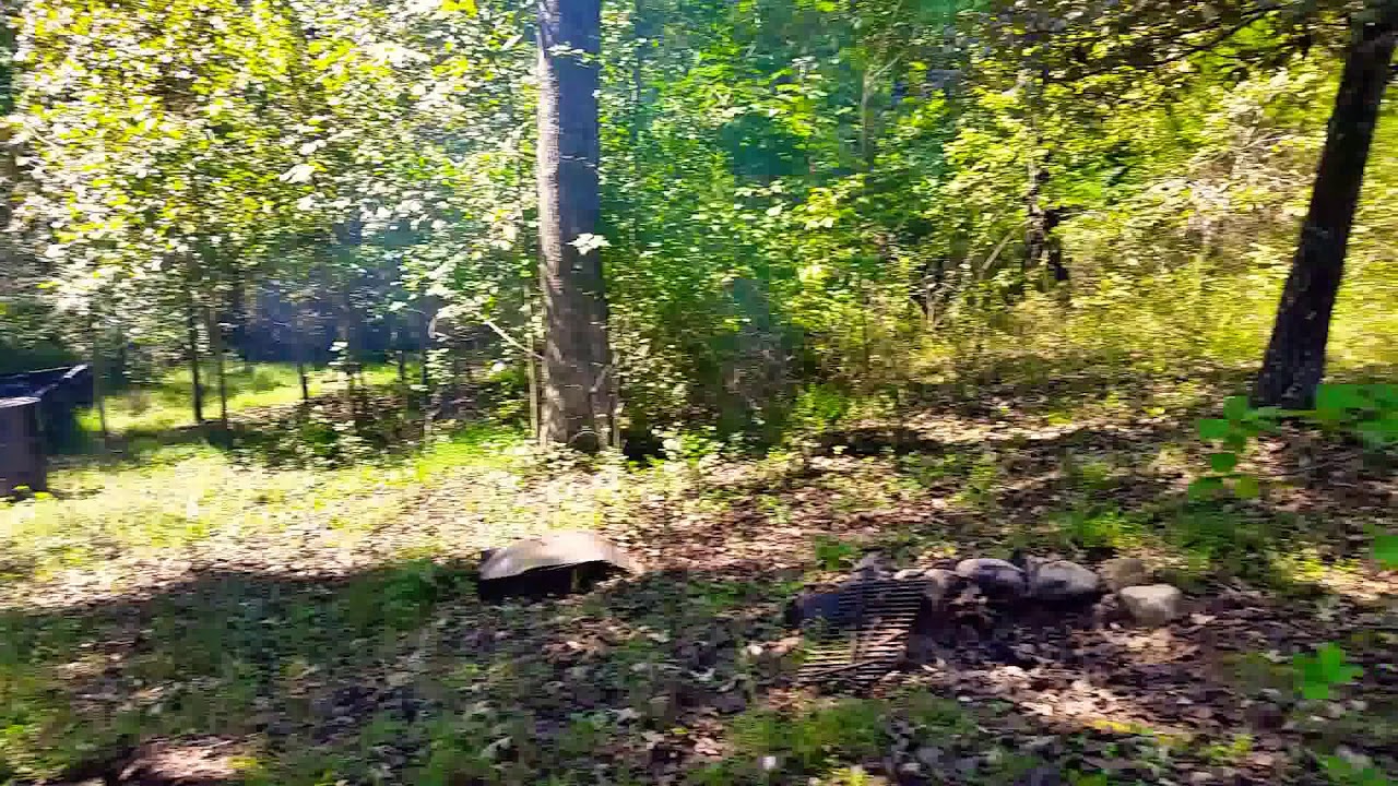 Alternative cooking methods in a power outage, or SHTF.