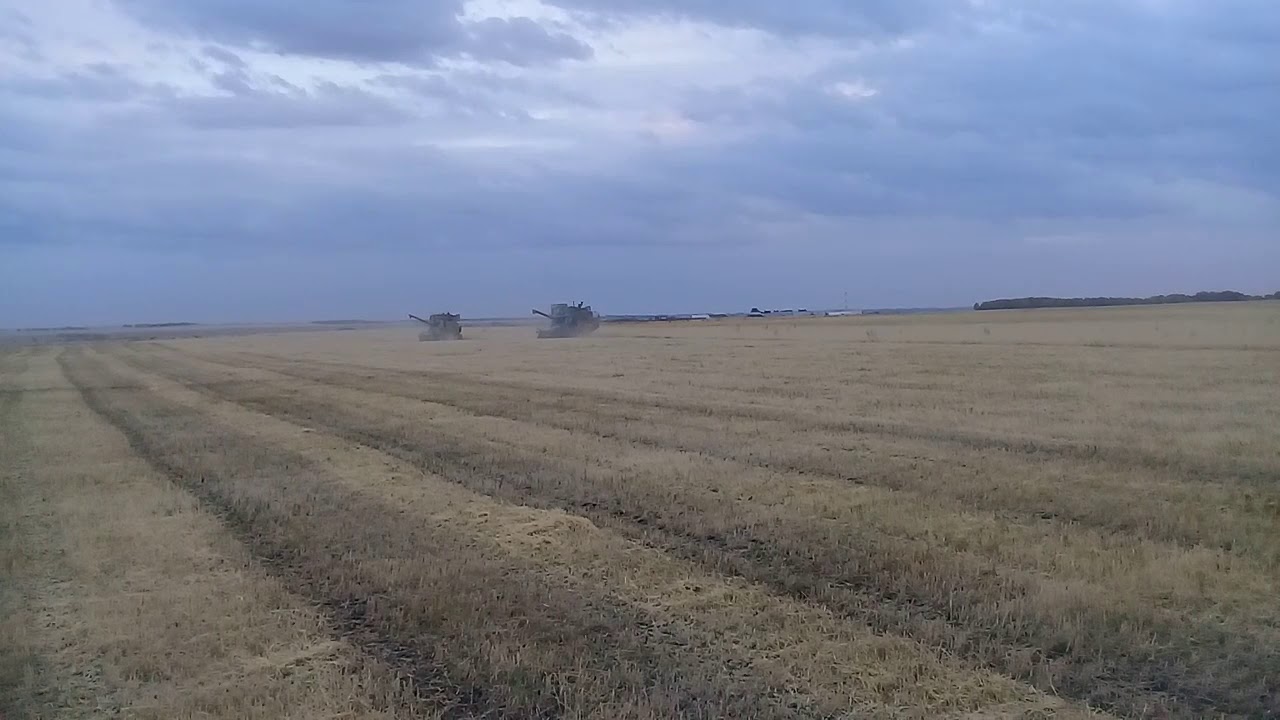 Уборочная 2019