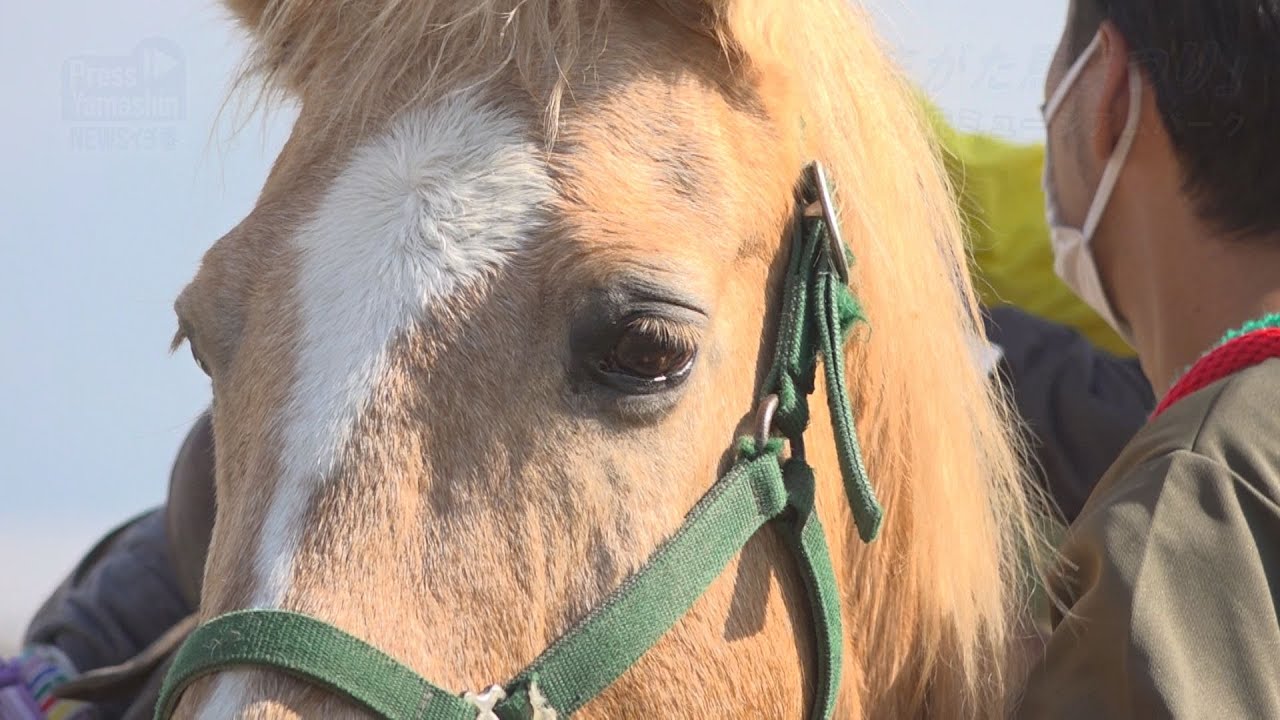 ３年ぶり「日本一たのしいやまがた馬まつり」　山形市・蔵王みはらしの丘ミュージアムパーク