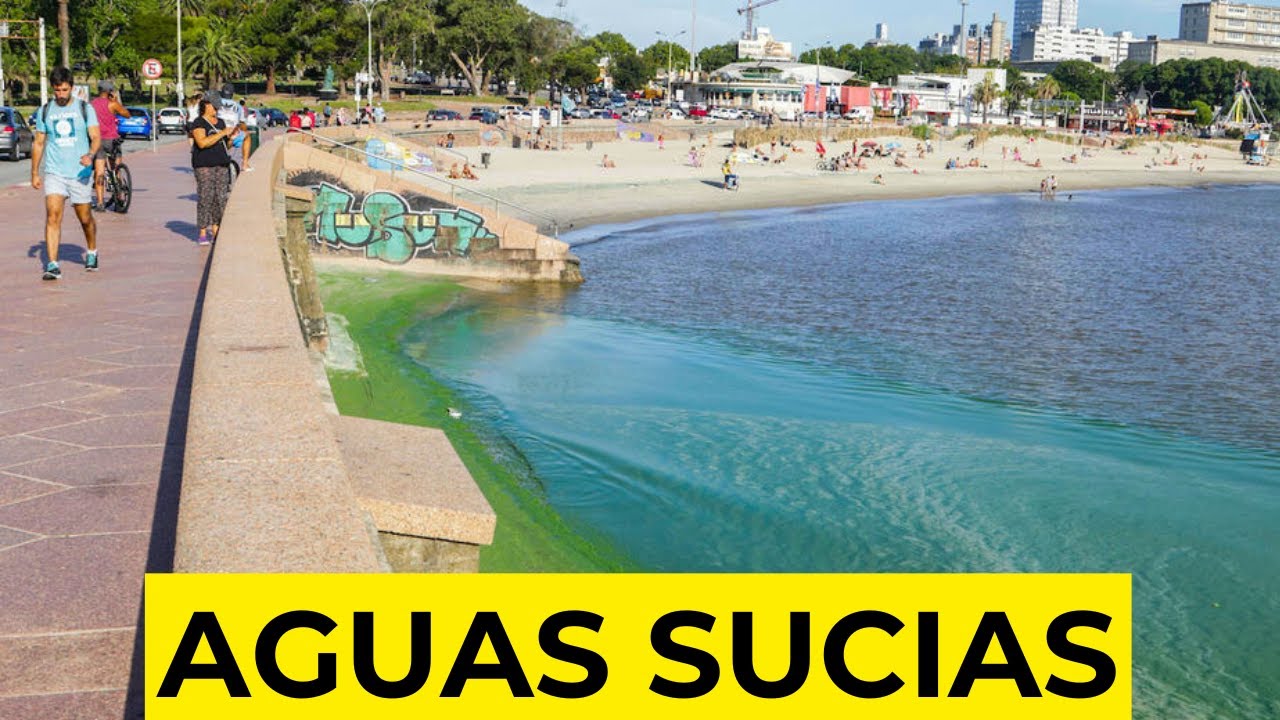 Playas de Montevideo con alto nivel de materia fecal