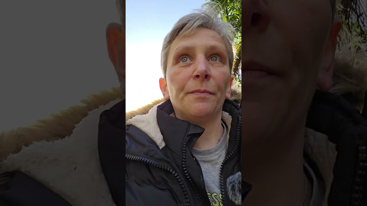 Colchester zoo (part 1)