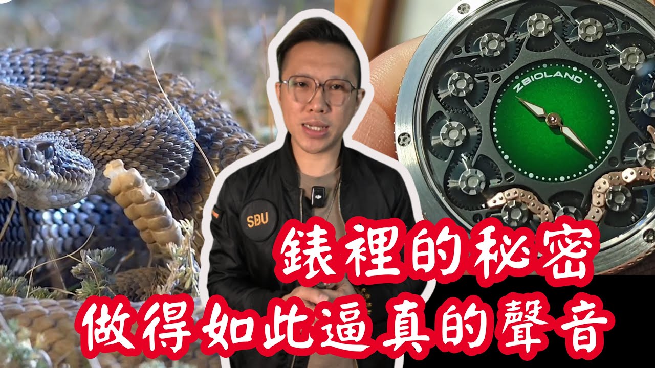 【珍寶萊ZBIALOND錶裡的秘密】珍寶萊｜ZBIALOND｜表裡的秘密做得如此逼真的聲音｜中國製造
