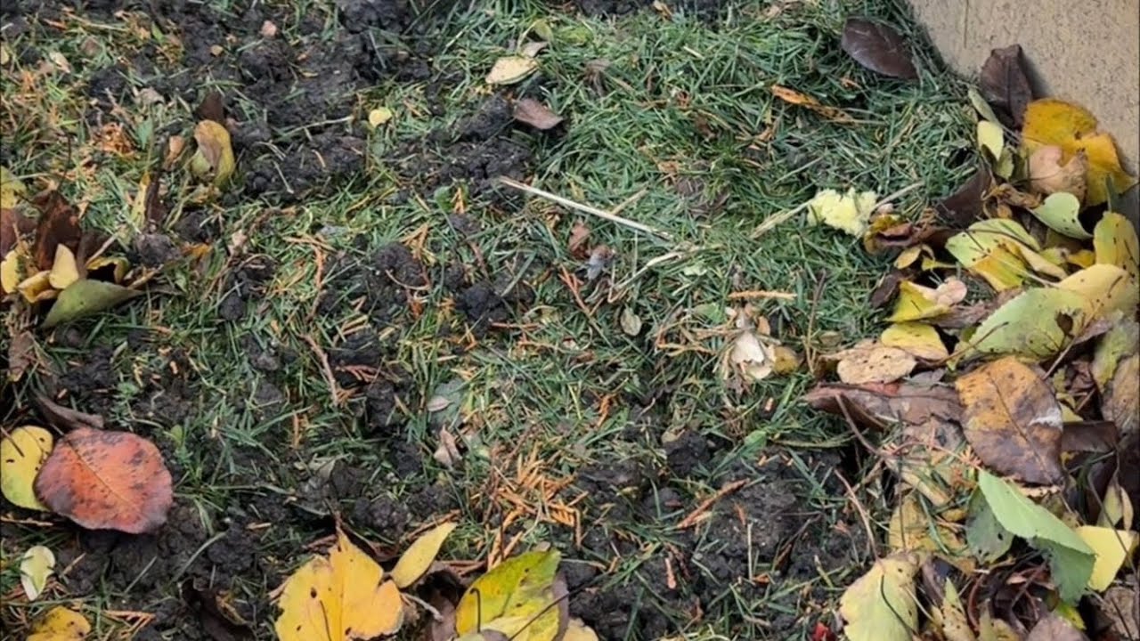 Компостная яма в моем огороде