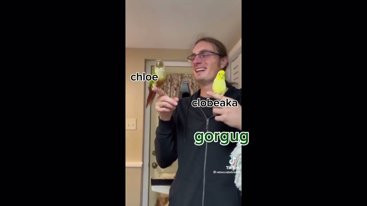 fhjy as vines