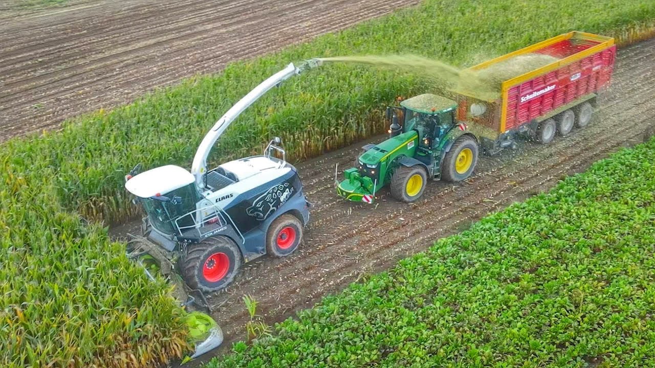 CLAAS 990 BLACK⚫️| 12 rangs🟢|Biggest CLAAS Forage Harvester in ETA James 🇫🇷
