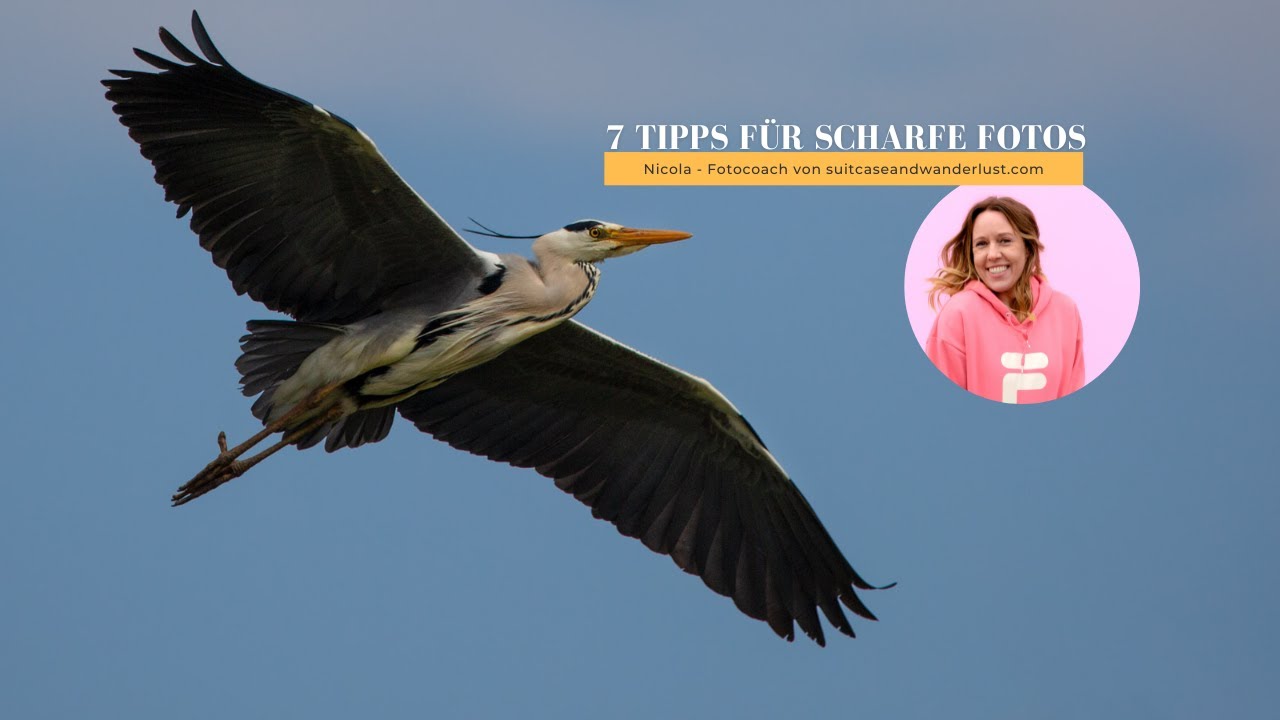 7 einfache Tipps für scharfe Fotos