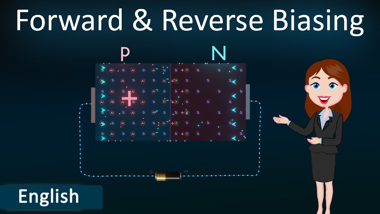 Forward and Reverse Biasing || 3D Animated explanation || class 12th physics || Semiconductors ||
