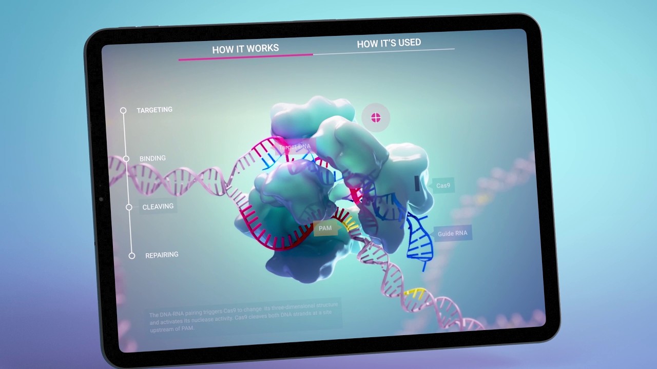 Medical Interactive Reel | AXS Studio