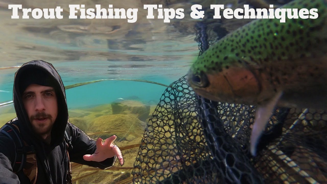 Trout Fishing Tips & Techniques: River, Streams & Creeks | SFSC