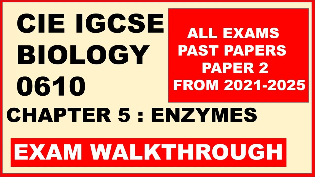 Ответы на вопросы экзамена по биологии IGCSE 0610, Кембридж: Питание человека.