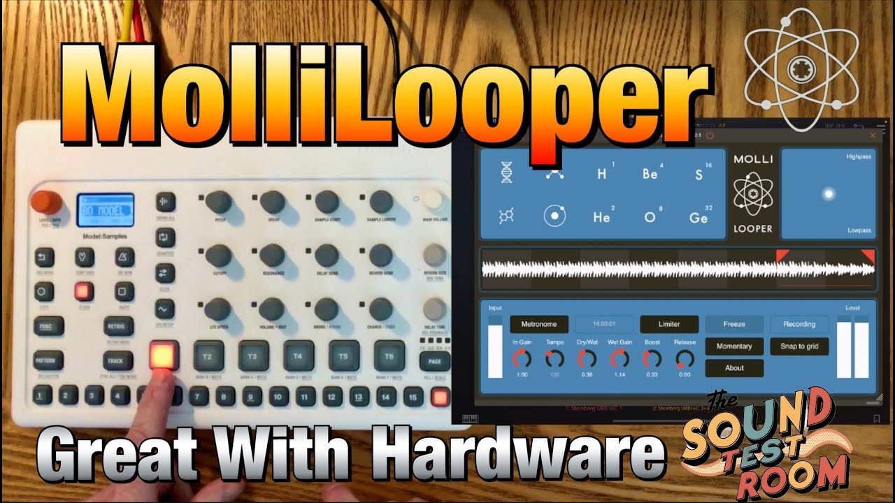 MolliLooper - The Looper That Never Forgets - Works Great With Your Hardware Gear - Tutorial