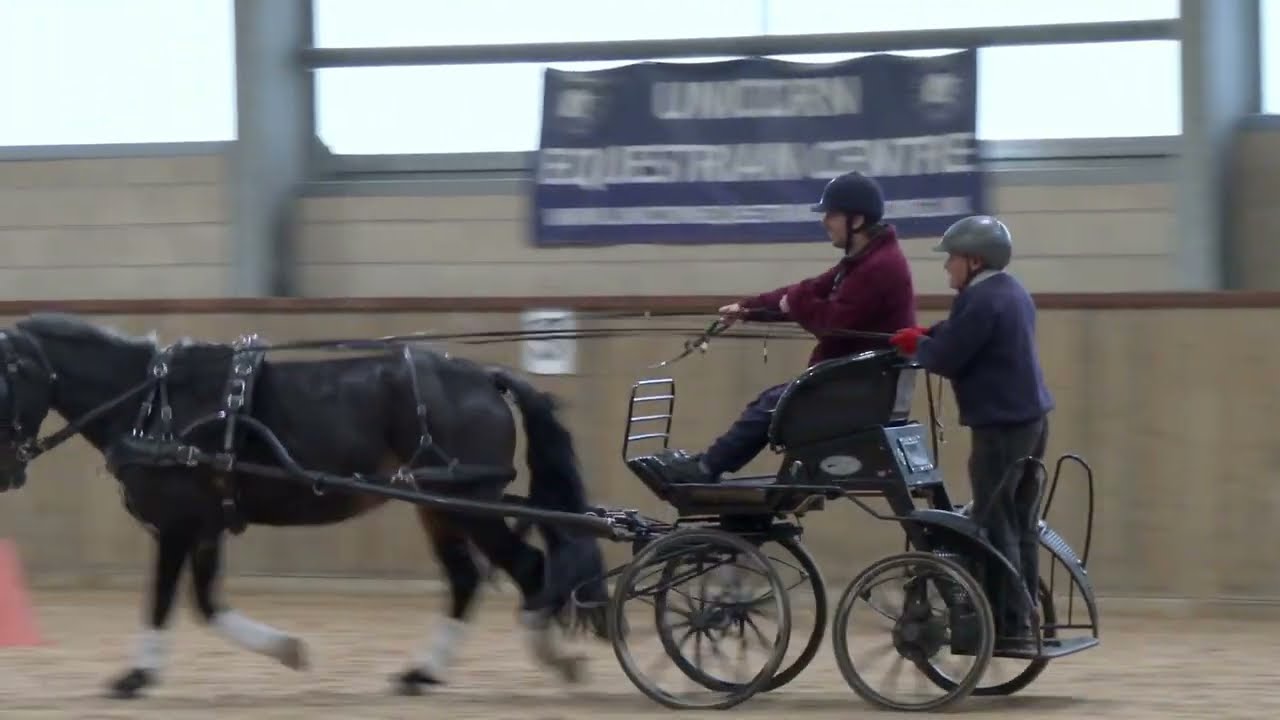 Follow my Introduction to the World of Carriage Driving.