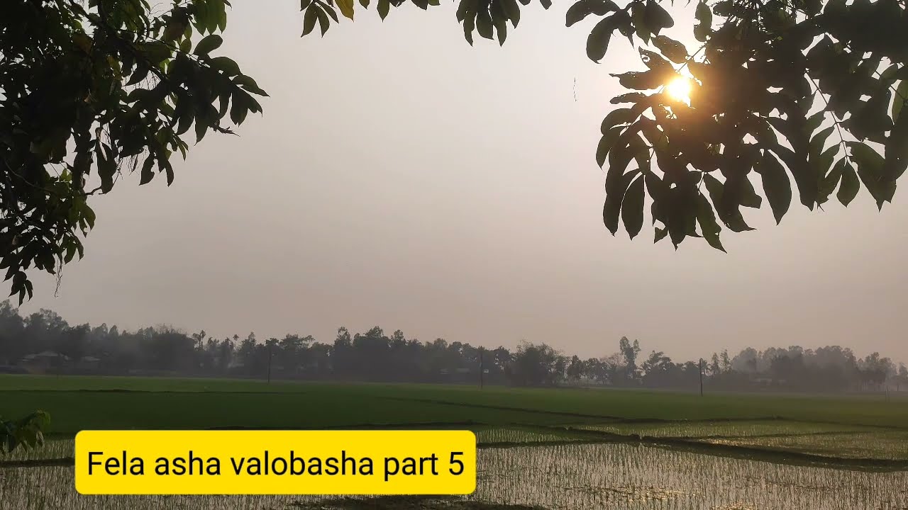 New Golpo ফেলে আসা ভালোবাসা | Part 5 | Fela Asha Valobasha  Golpo Voice of Jamil 