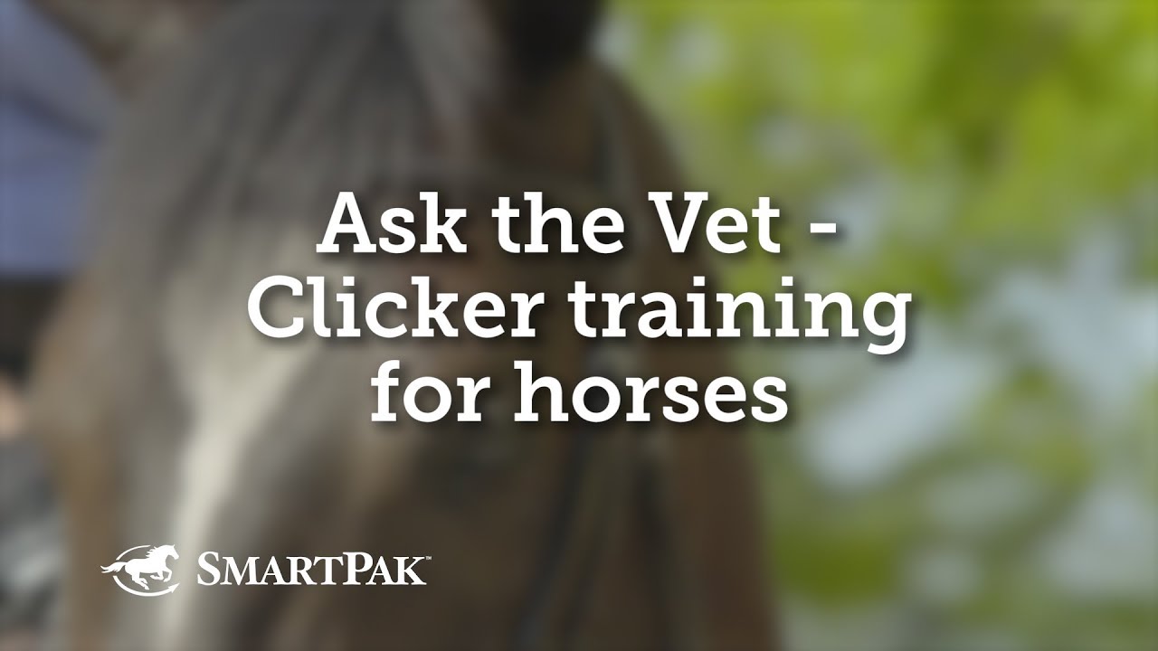Ask the Vet - Clicker training for horses